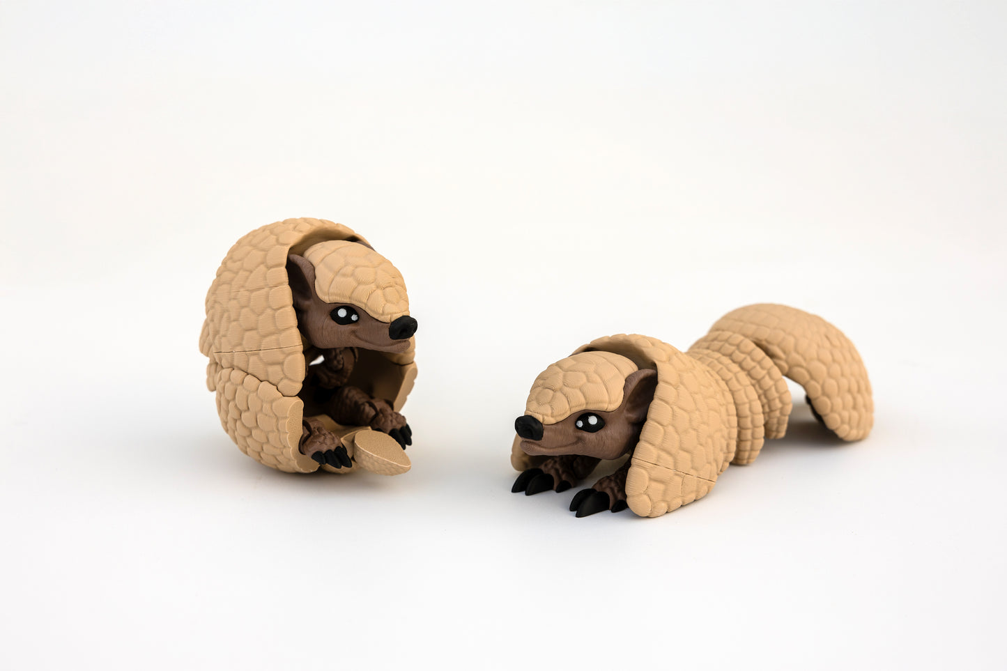 Armadillo