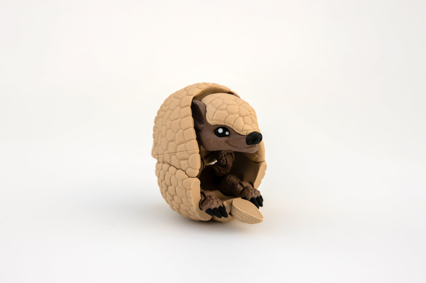 Armadillo