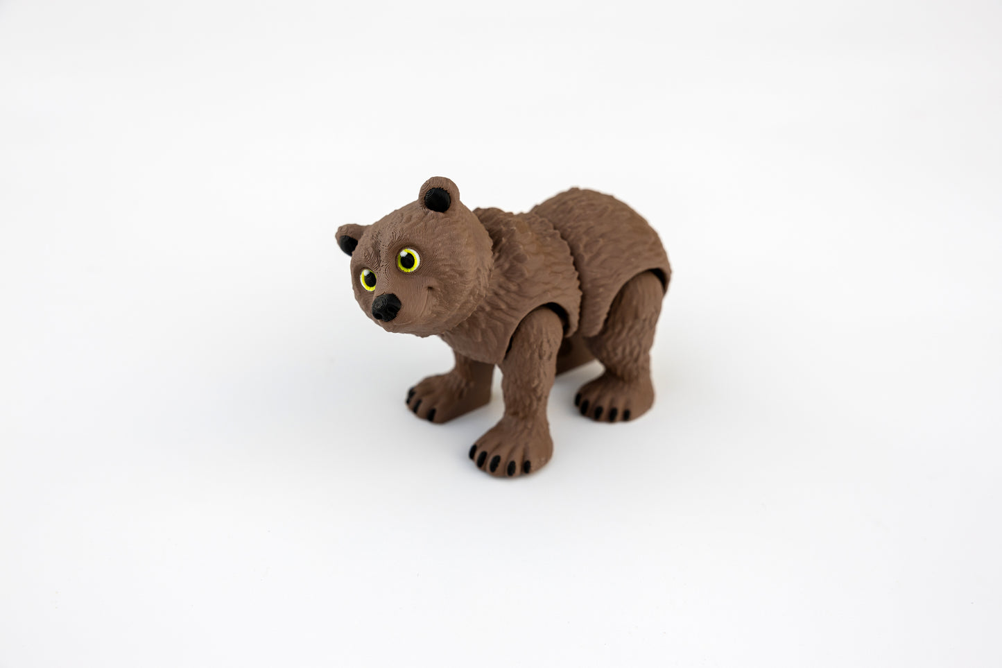 Grizzly Bear
