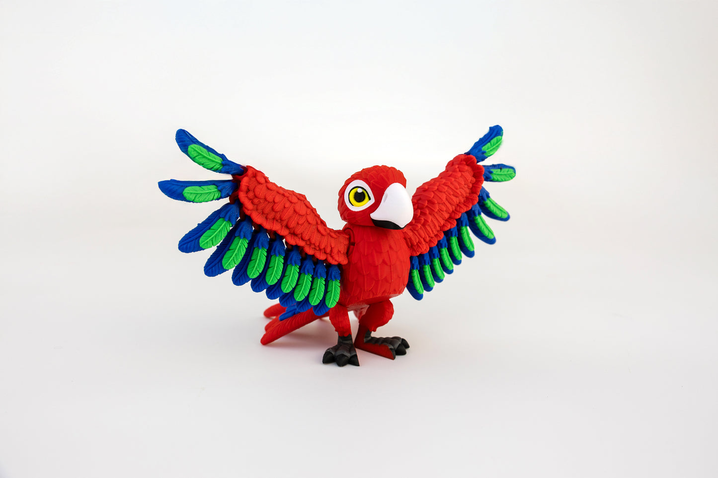 Macaw