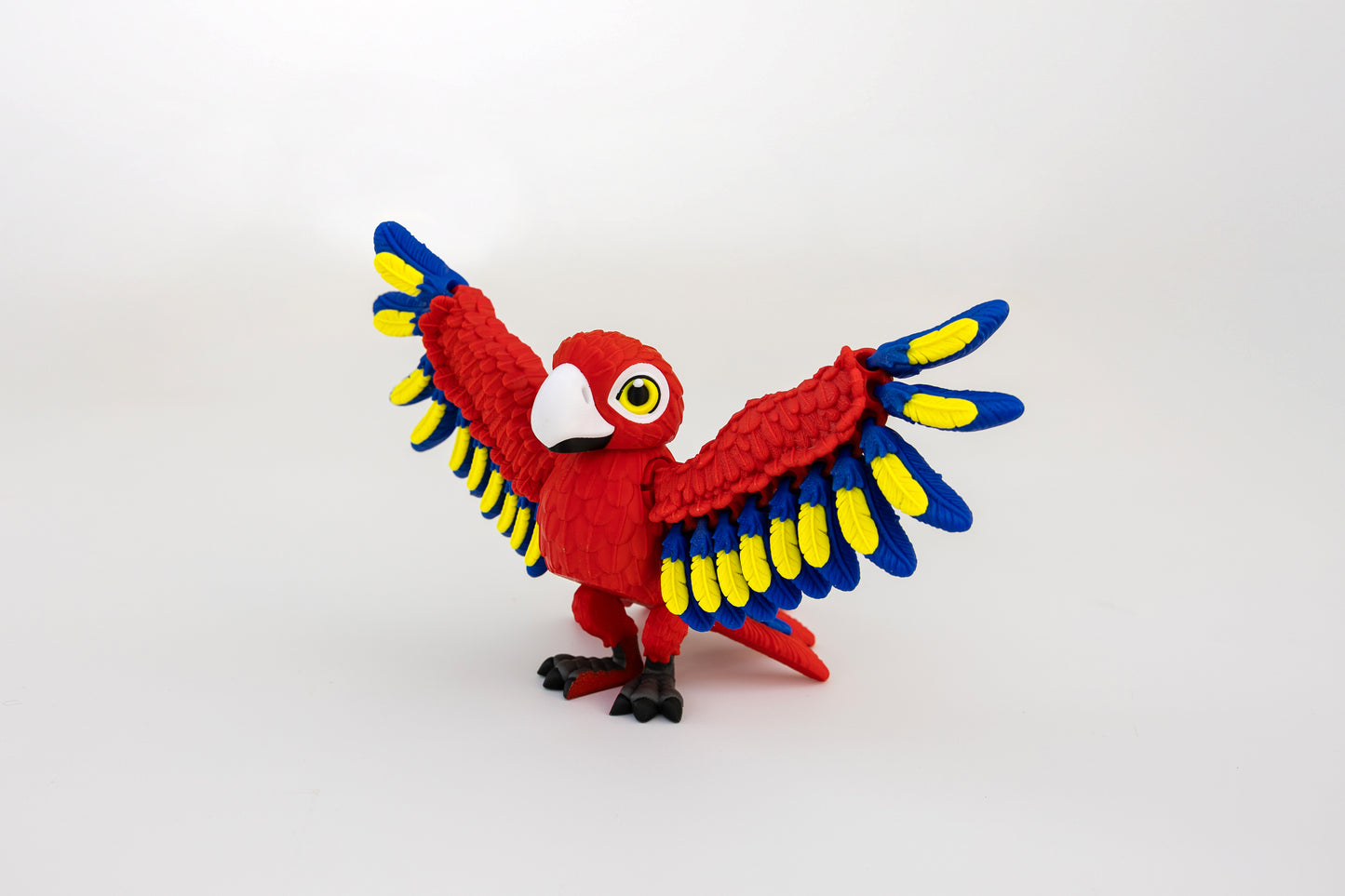 Macaw