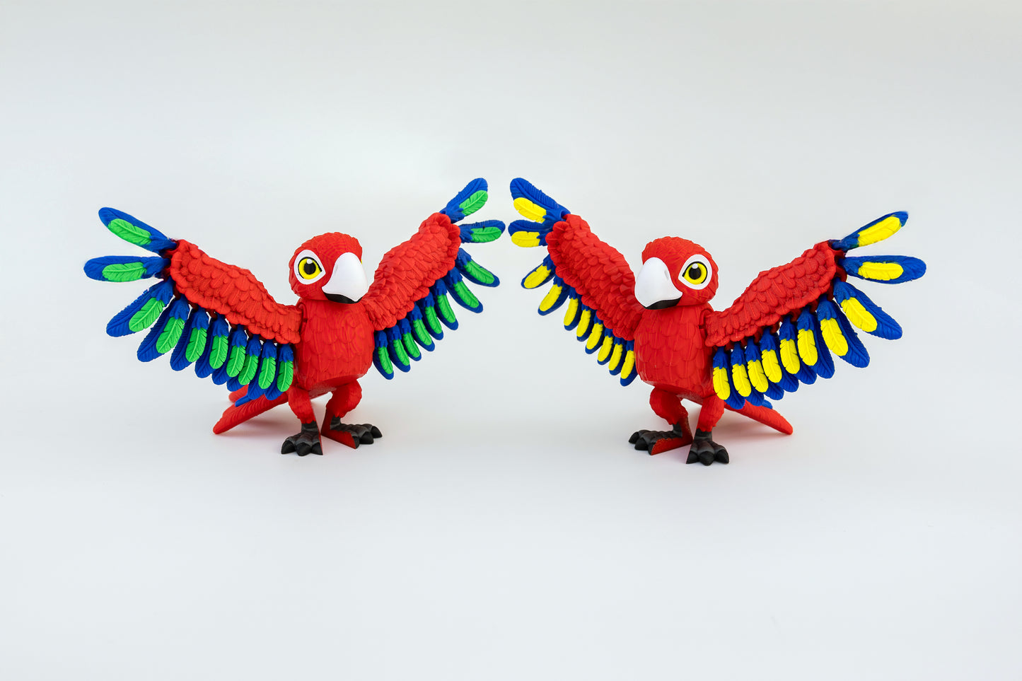 Macaw