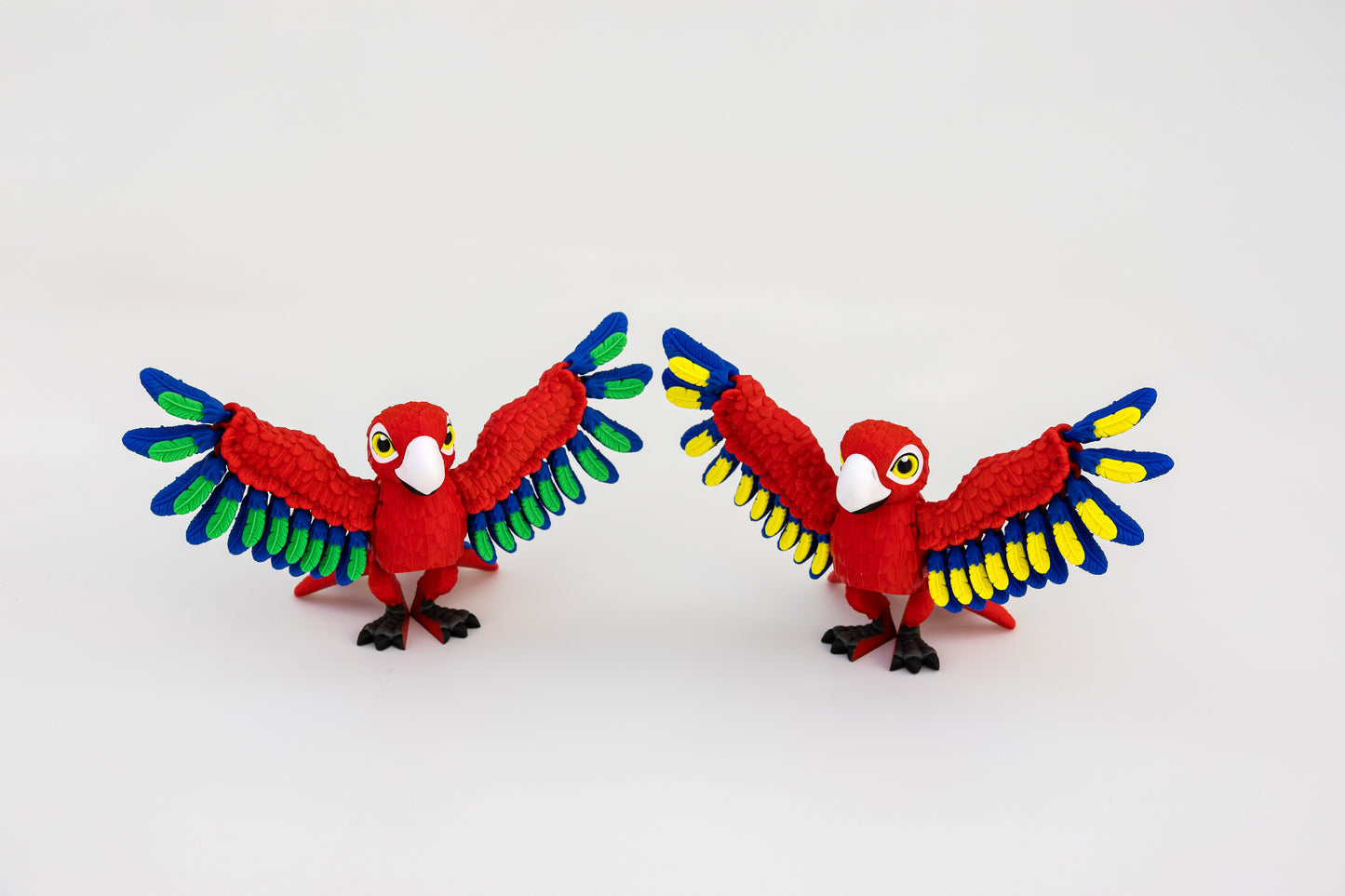Macaw