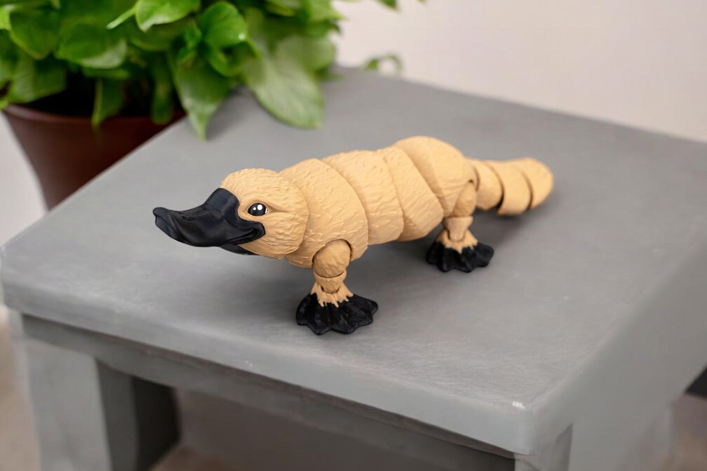Platypus