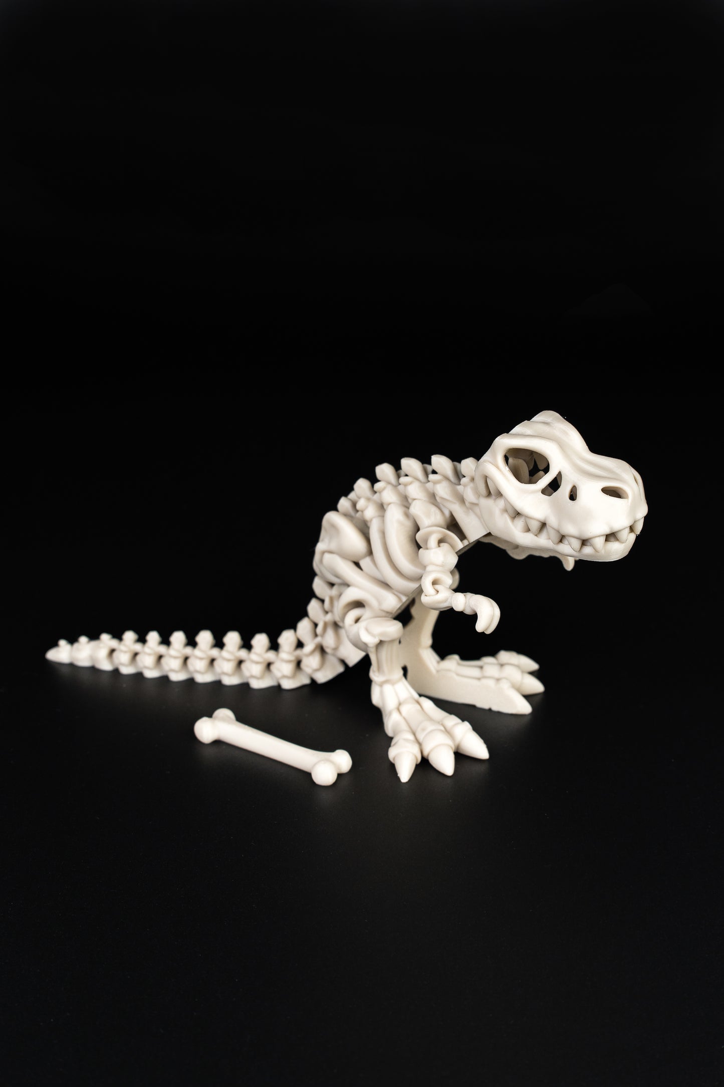 Flexi T-Rex Skeleton - 3D Print