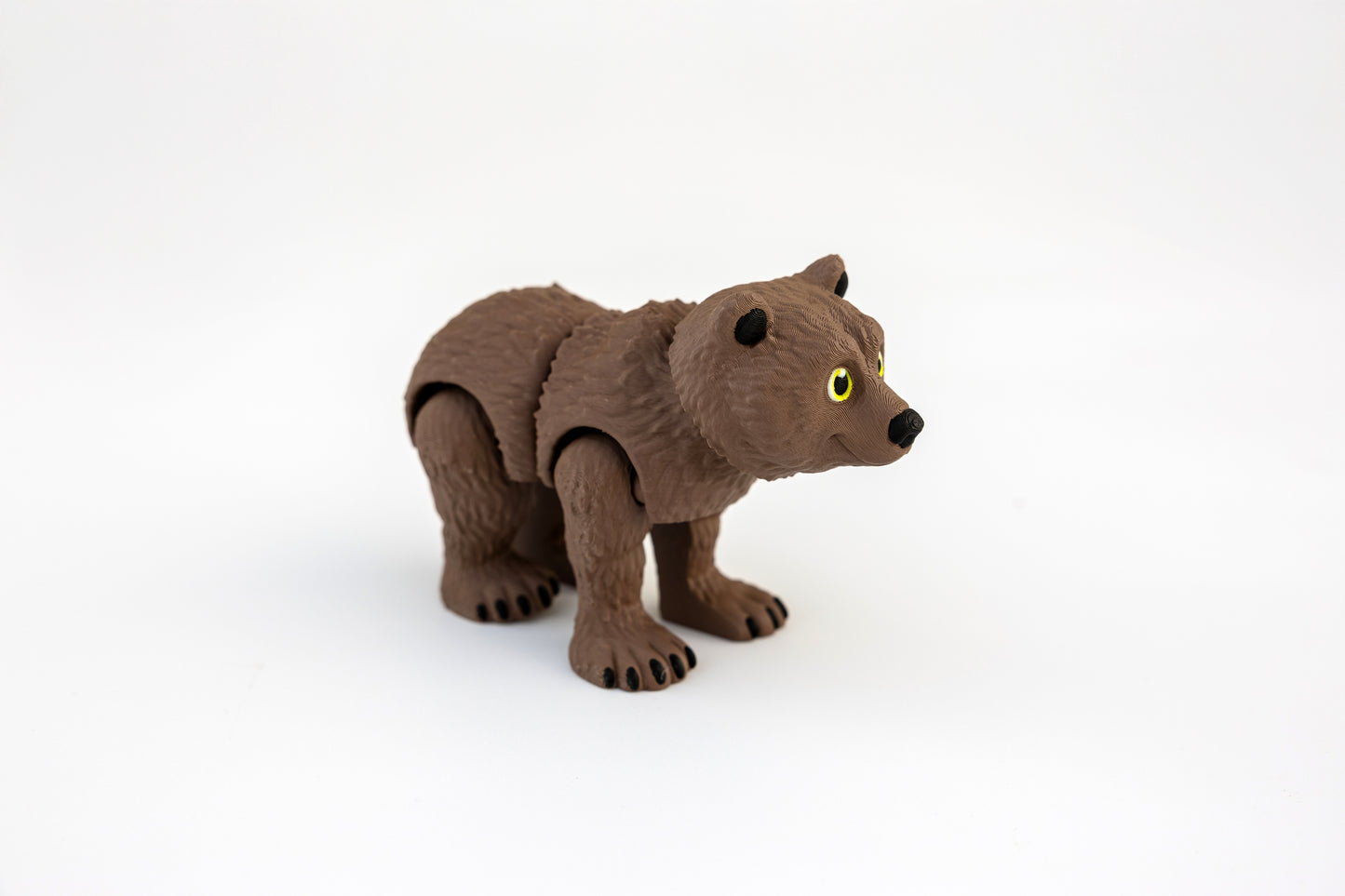 Grizzly Bear