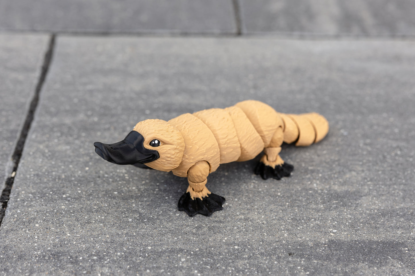 Platypus